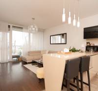 Living room in a two-room apartment with a sofa and wooden decor flooring.