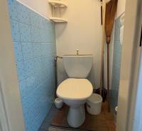 A bathroom in a family house with blue tiles, corner shelves, and a rug.