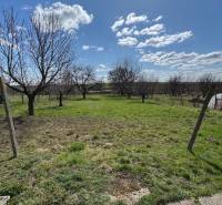 A garden at a family house on Hlavná Street in Radava with fruit trees and a lawn.