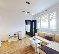 Living room in a 3-room apartment with a wooden decor floor and a comfortable gray sofa.