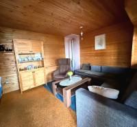 The interior of the cabin with wooden decor, comfortable sofas, and a display cabinet for dishes.