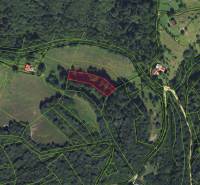 Cadastral map of agricultural and forest land in the village of Lazy pod Makytou.