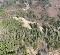 Forests and meadows in the village of Lazy pod Makytou surrounded by hills and greenery.