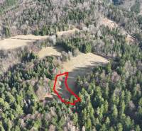 Meadows and forests in Lazy pod Makytou stretch among dense trees.