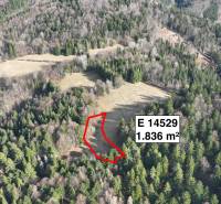 An aerial view of agricultural and forest land in Lazy pod Makytou.