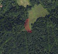 The satellite map shows agricultural and forest lands in Lazy pod Makytou with marked parcels.