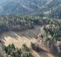 Aerial view of agricultural and forest land in Lazy pod Makytou, surrounded by dense forest.