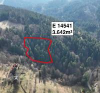 Aerial view of agricultural and forest lands in Lazy pod Makytou, framed by forests.