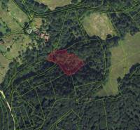 Satellite map of agricultural and forest land in Lazy pod Makytou, with the parcel marked.