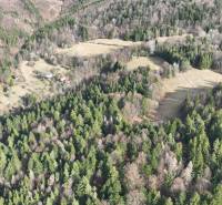 Forests and meadows in Lazy pod Makytou, agricultural and forest lands surrounded by nature.