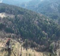 Forests and meadows surround Lazy pod Makytou with agricultural and forest lands.