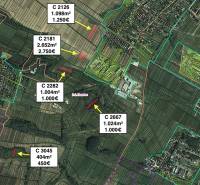 Aerial view of the distribution of agricultural and forest land in Hozelec.