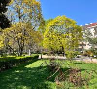 IMG_1632.jpeg