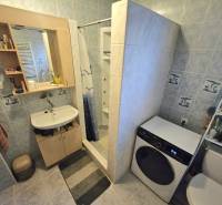 Bathroom in a family house with a sink, shower, washing machine, and toilet.