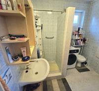 A bathroom in a family house with a sink, shower, washing machine, and an open shelf with cosmetics.