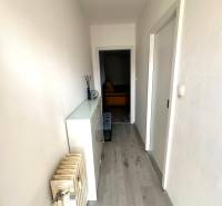 A narrow corridor with a wooden decor floor and a radiator in a 2-room apartment.