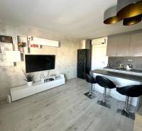 A kitchen in a 2-room apartment with a television, wood-patterned flooring, and a bar counter.