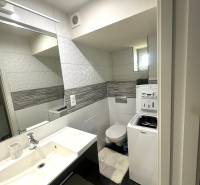 Bathroom in a 2-room apartment with a sink, washing machine, and toilet.