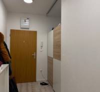 Entrance hallway in a 2-room apartment, white walls and doors, floor with wood decor.