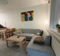 A bright living room with a corner sofa and art in a two-room apartment.