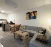 Living area in a 2-room apartment with a sofa, table, and dining nook.