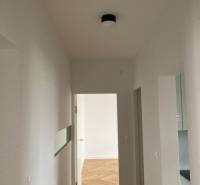 A hallway in a 2-room apartment with a wooden decor floor and white walls.