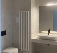 Modern bathroom in a 2-room apartment with a mirror, sink, and toilet.