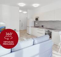 Living room with kitchen, wooden decor flooring, white kitchen unit, 2-room apartment.