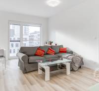 Living room of a two-room apartment with a gray sofa and a floor with a wood design.