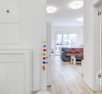 Interior of a 2-room apartment with a wooden decor floor and a comfortable sofa.