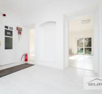 A bright interior of a 4-room apartment with a wooden decor floor and a fire extinguisher.