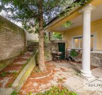 Exterior of a 4-room apartment on Krčméryho in Bratislava - Old Town with a tree and a staircase.