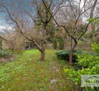 Garden at a 4-room apartment on Krčméryho Street in Bratislava - Staré Mesto.