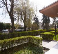 Garden with a walkway and parked cars on Lomnická Street in Košice, Sever district.