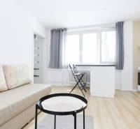 Living room in a two-room apartment with a sofa and a wooden decor floor.