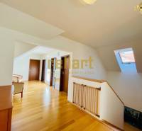 A hallway with a wooden decor floor, a skylight, and doors in a family house.