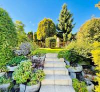 Stairs leading to the garden at a family house, surrounded by greenery and trees.
