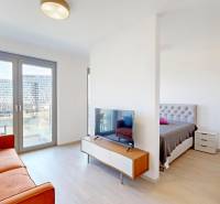 Living room and bedroom in a 2-room apartment with a wooden decor floor.