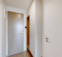Entrance hall in a 2-room apartment with wood-patterned flooring and storage space.