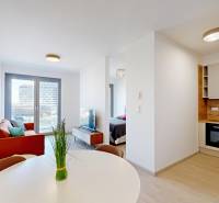 2-room apartment with wood-patterned flooring, dining table, and sofa.