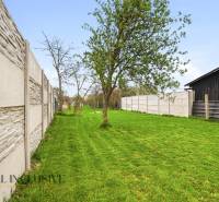 A garden with a lawn and trees in a family house in Dolný Bar, along the fence.