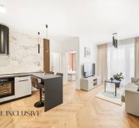 Living room and kitchen in a 4-room apartment with a wooden decor floor and light decoration.