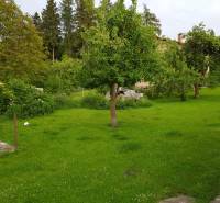 A garden at a family house on the street in Blatnica with a lawn and trees.