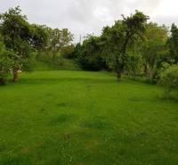 Greenery and trees in the garden at the family house on Blatnica Street in Blatnica.