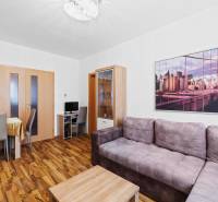 Living area of a 2-room apartment with a sofa and wooden decor flooring.