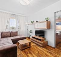 Living room in a two-room apartment with a sofa set and a wooden decor floor.