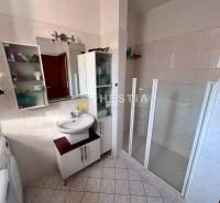 Bathroom with a shower, sink, and storage space in a studio apartment.