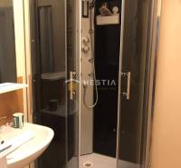 Bathroom with a shower and a sink in a 2-room apartment.