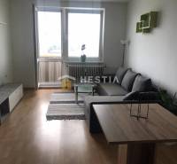 Living room in a two-room apartment with a wooden decor floor and a sofa.