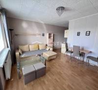 Living room in a two-room apartment with a wooden decor floor.